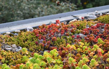 the cost of Upper Wolvercote green roof installation