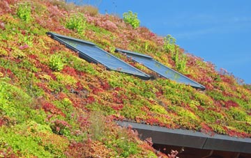Upper Wolvercote living roof systems