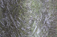 Upper Wolvercote fibreglass roof work